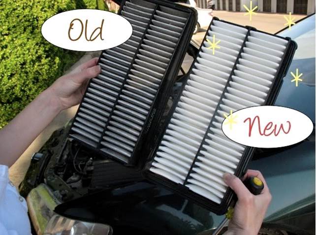 5 Most Typical  Problems an Air Filter Can Experience