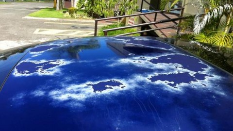 Paint Fading Problems Found on Automobiles