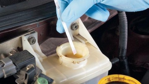 Brake Maintenance: Checking Brake Fluid