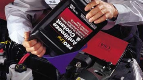 Coolant Flush & Fill