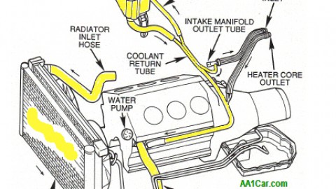Cooling System Maintenance & Repairs