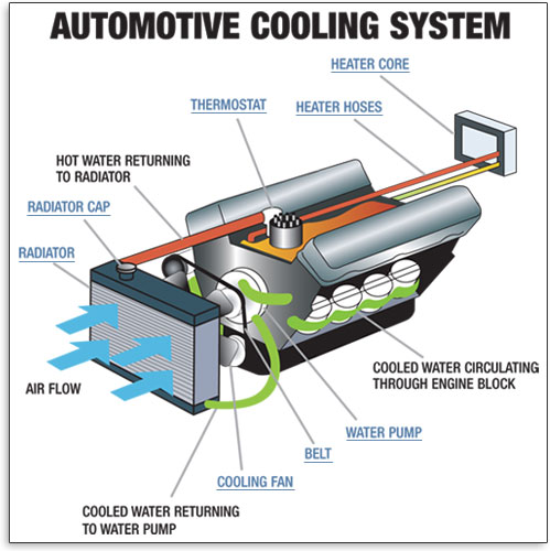 Cooling System Repair & Service
