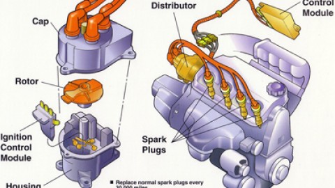 Service Your Ignition