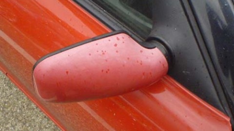 Common causes of fading car paint color and the ways try to prevent it