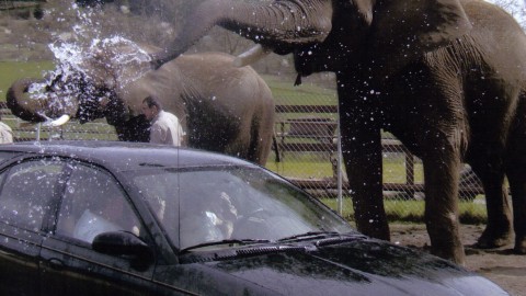 Washing your car the way the pros do