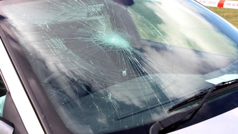 What can DIYers do concerning windshield repairs to fix or prevent more damage?