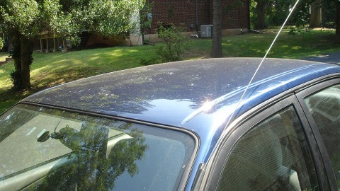What is best for me if I accidentally break my car antenna?