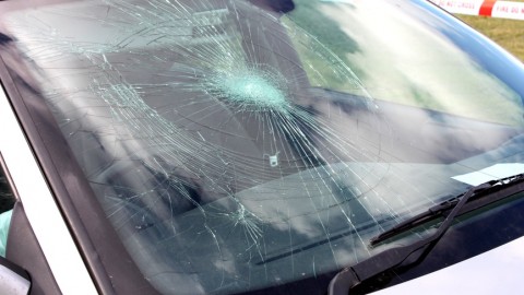 What to do if you get a damaged auto windshield