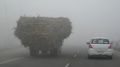 Mind the fog, and mind your driving!